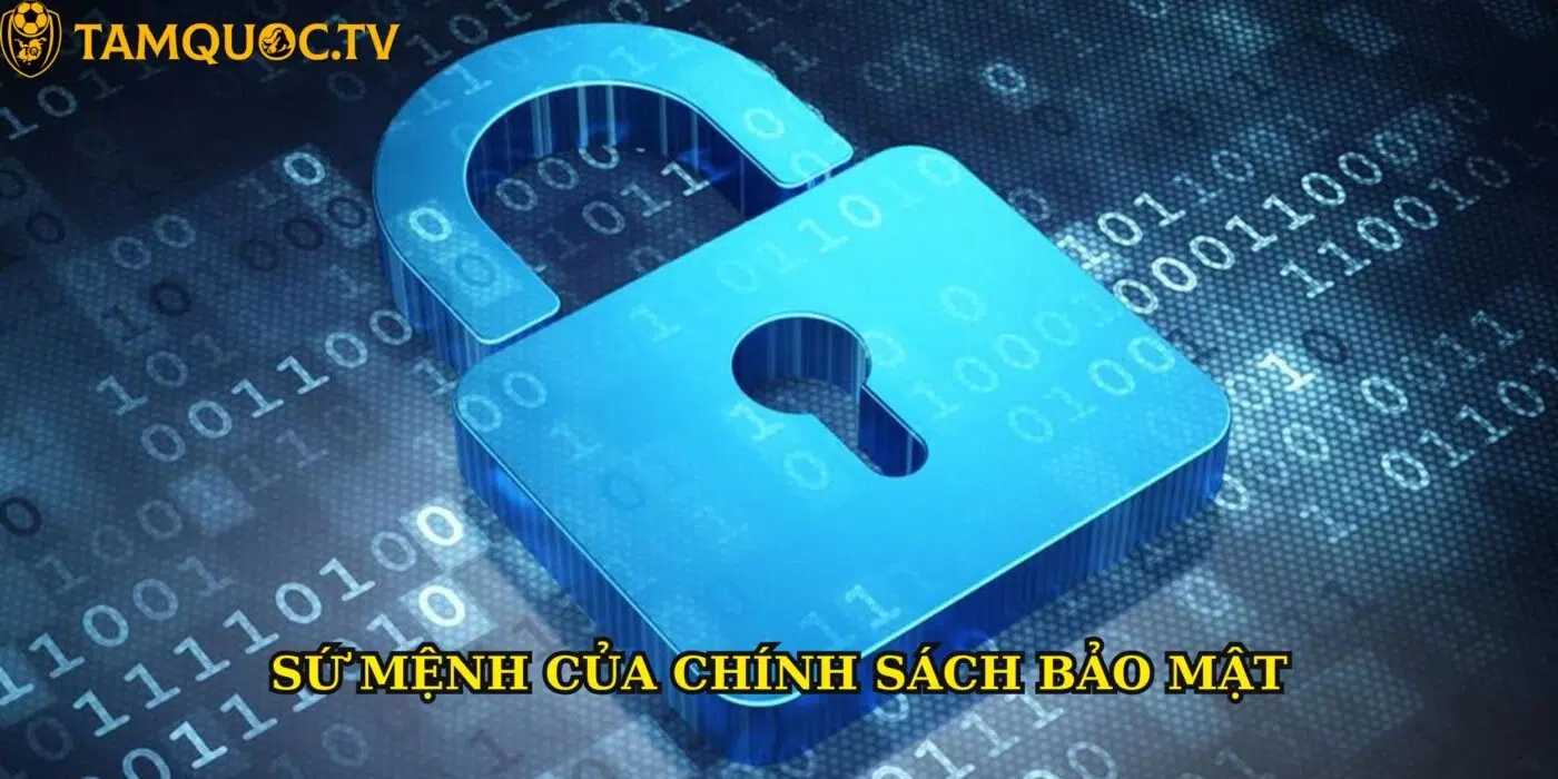 Chính sách bảo mật Tamquoctv: Lý do bạn có thể yên tâm khi sử dụng dịch vụ
