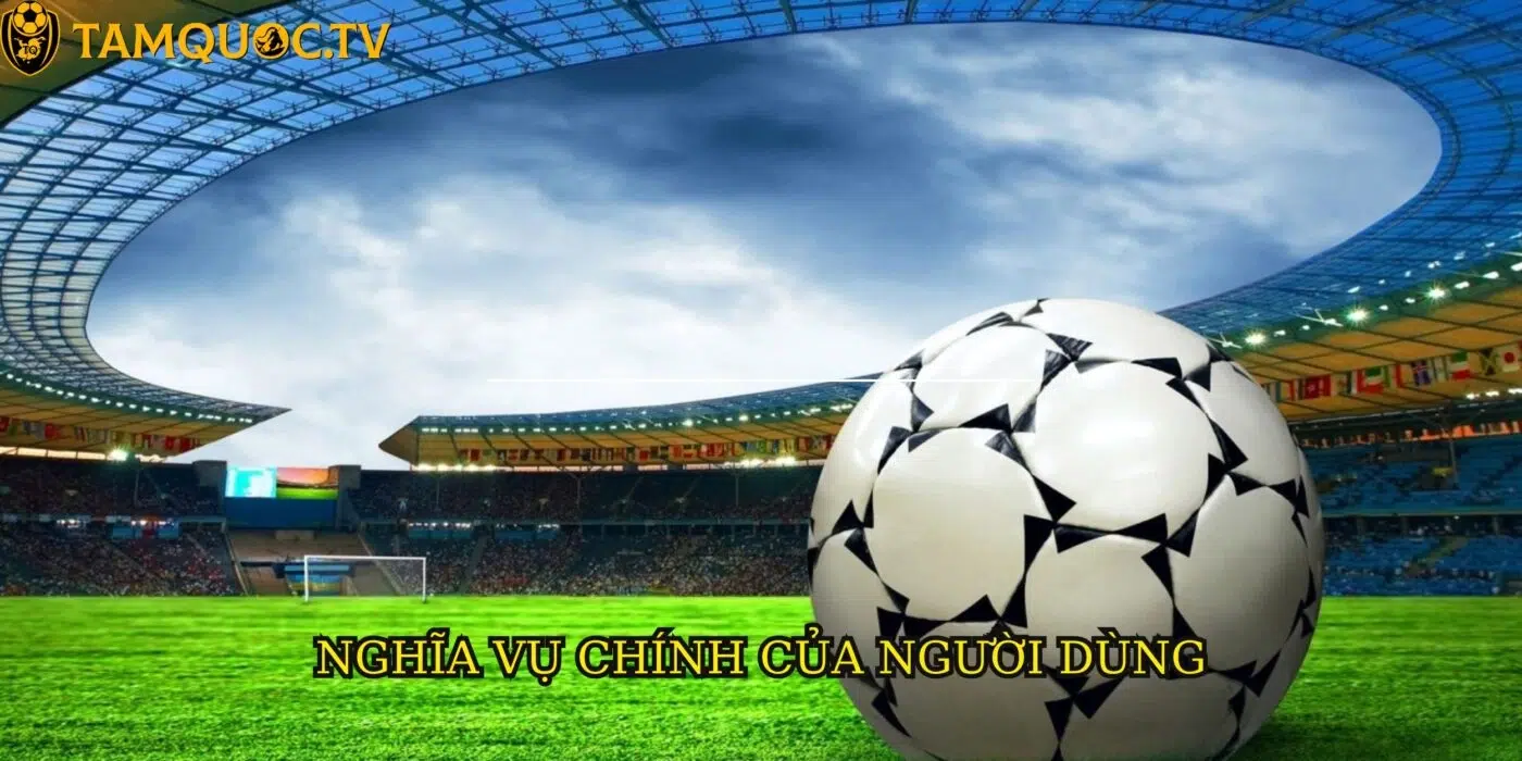Miễn trừ trách nhiệm khi người dùng không tuân theo đúng nghĩa vụ