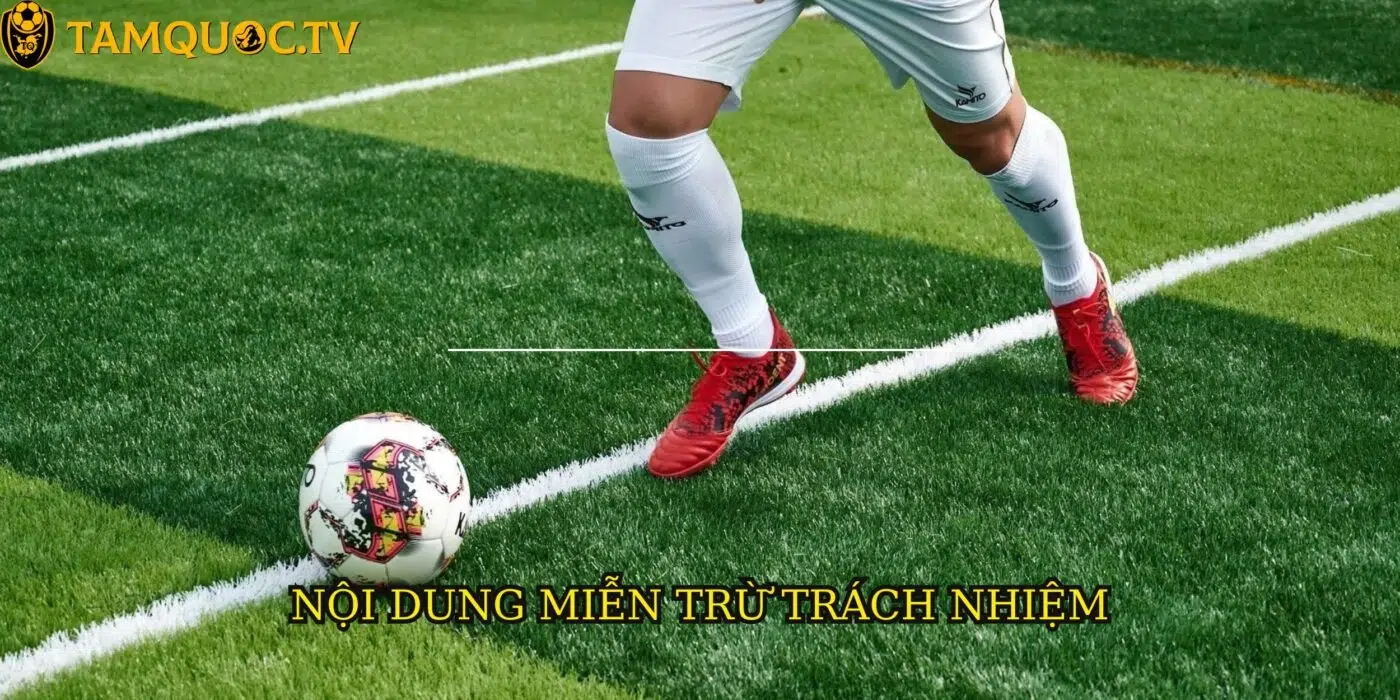 Những nội dung chính luôn miễn trừ trách nhiệm