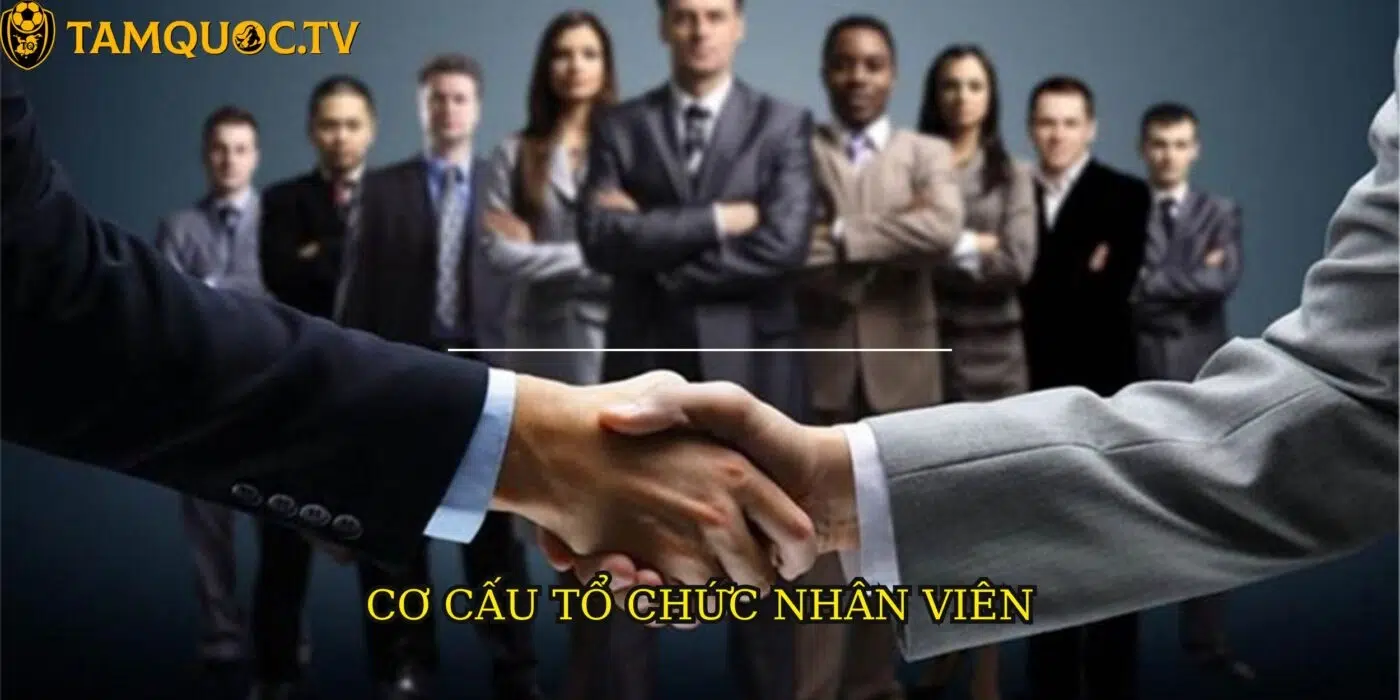 Tìm hiểu về cơ cấu tổ chức đội ngũ nhân viên