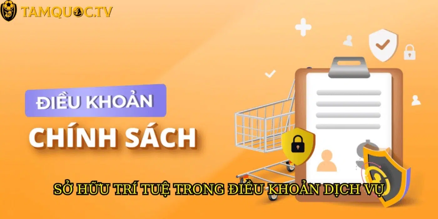Vấn đề sở hữu trí tuệ của TamQuocTV trong điều khoản dịch vụ