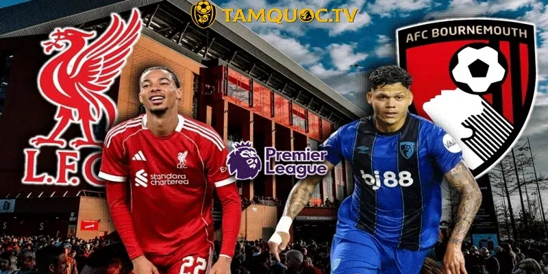 Bối cảnh trước trận đấu Bournemouth vs Liverpool