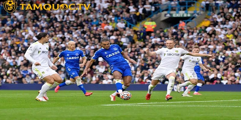 Bối cảnh trước trận đấu Leeds United vs Everton