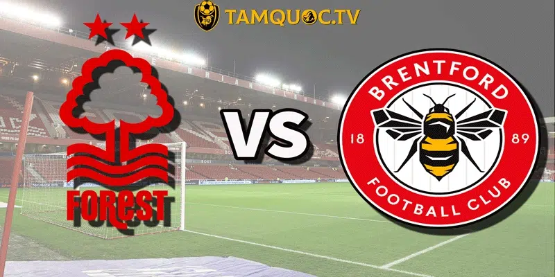 Lịch sử đối đầu Nottingham Forest vs Brentford