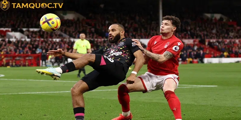 Phong độ và tình hình lực lượng hai đội Nottingham Forest vs Brentford