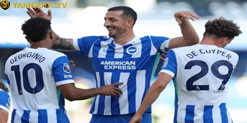 Phong Độ Và Tương Quan Lực Lượng Brighton vs Fulham